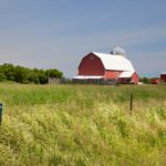 Sustainable Agriculture in the Greenbelt