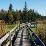 An Ottawa nature trail to discover - Mer Bleue Bog