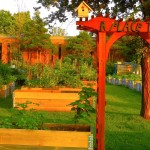 Brewer Park Community Garden - Sustainable Living in Old Ottawa South